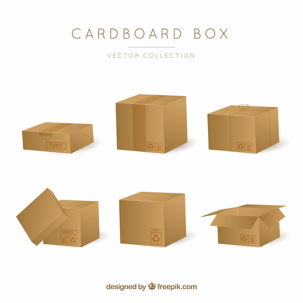 Cardboard boxes collection to shipment