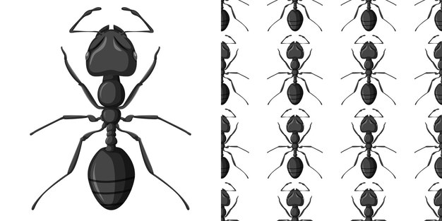 白で隔離された大工の蟻とシームレスな大工の蟻