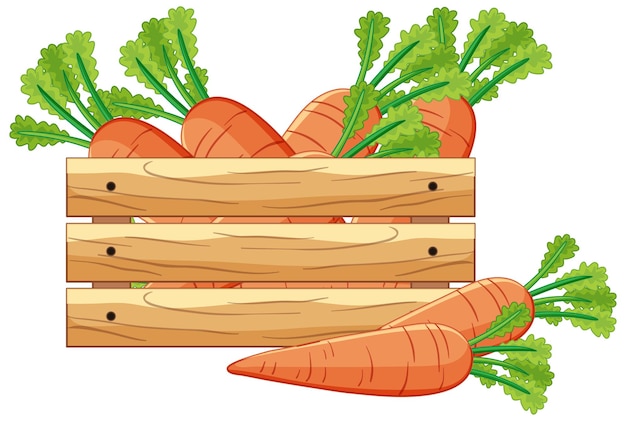 Carrots in a wooden crate in cartoon style isolated