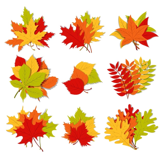 Cartoon autumn leaves collection