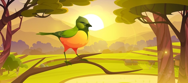 Cartoon bird sitting on tree branch cute colorful birdie with green and yellow feathers at asian rice field terraces in mountains scenery summer landscape wild nature background vector illustration