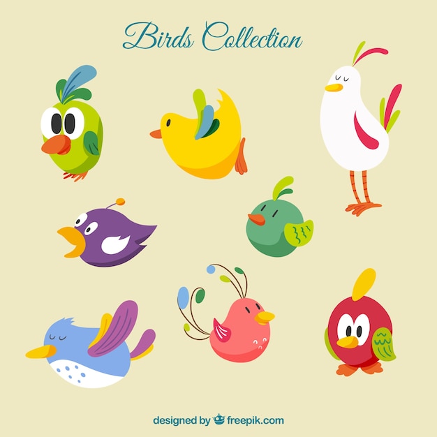 Vettore gratuito cartoon uccelli collezione