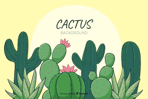 Cartoon cactus background