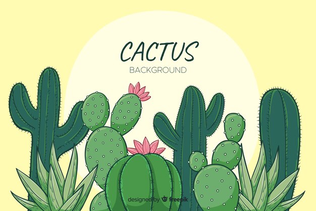 Cartoon cactus background