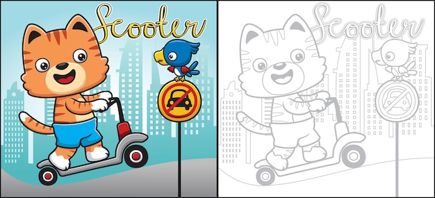 Cartoon of cat playing scooter with bird perch on traffic sign. coloring book or page