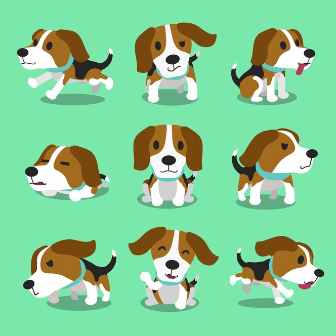 漫画のキャラクタービーグル犬のポーズ プレミアムベクター 漫画のキャラクタービーグル犬のポーズ プレミアムベクター
