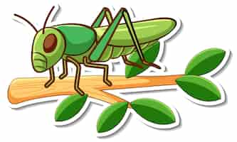 Free vector cartoon character of grasshopper on a branch sticker