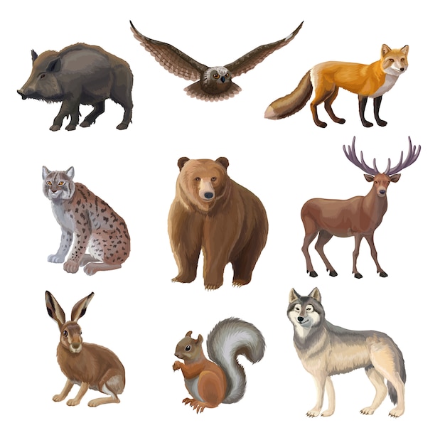 Free vector cartoon forest animals set