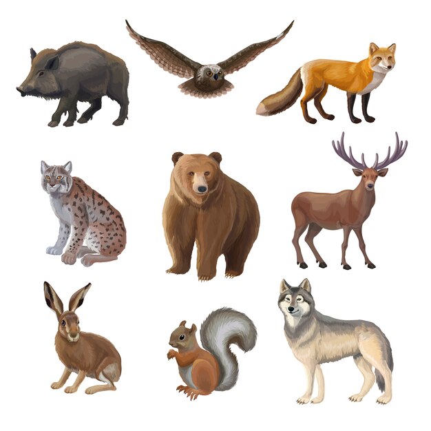 Cartoon Forest Animals Set