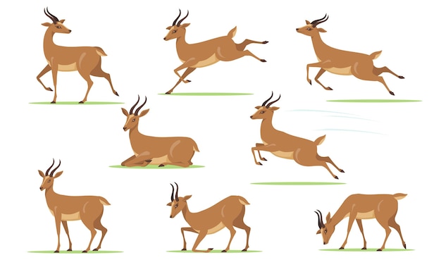 Free vector cartoon gazelle set