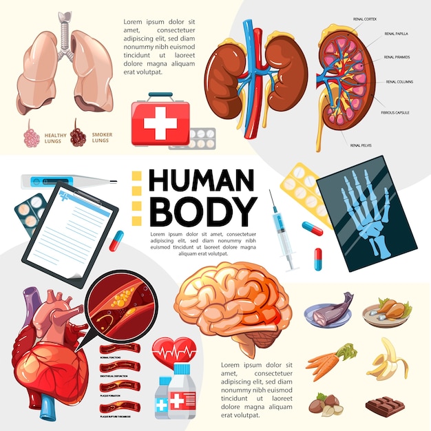 Cartoon healthcare template