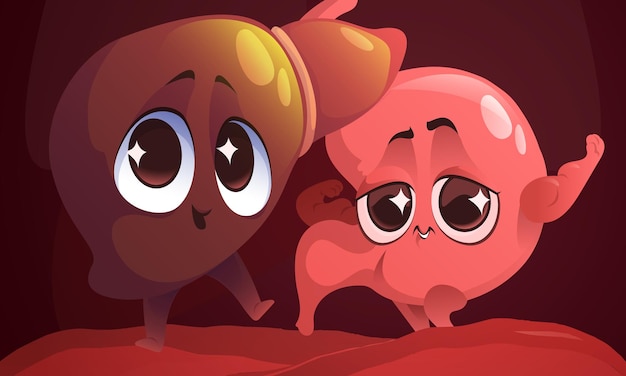 Cartoon healthy stomach and liver characters smile