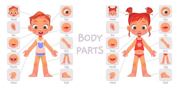 Free vector cartoon kids body part collection