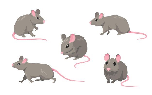 Download Cartoon Mouse Images Free Vectors Stock Photos Psd