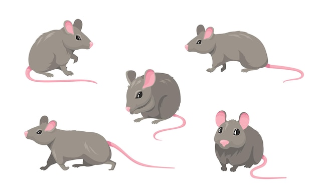 Cartoon mouse set. Grey furry rodent little rat with pink hairless tail walking or sitting isolated on white