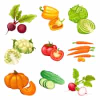 Free vector cartoon organic vegetables set