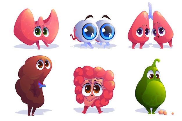 Cartoon organs characters thyroid, eyes, lungs and spleen with intestine and gallbladder. Human body anatomy, medical emoji, comic mascots with kawaii smiling faces, Vector illustration, icons set