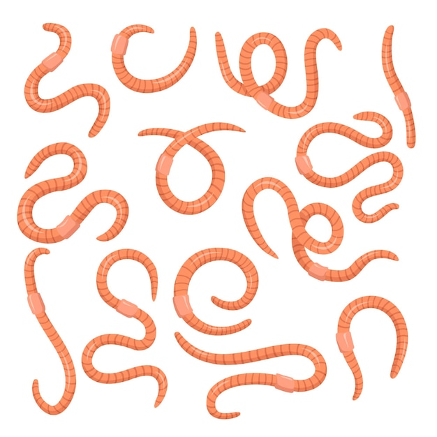 Набор мультфильм розовые черви. Завитые шевелящиеся вредители или дождевые черви, изолированные на белом фоне