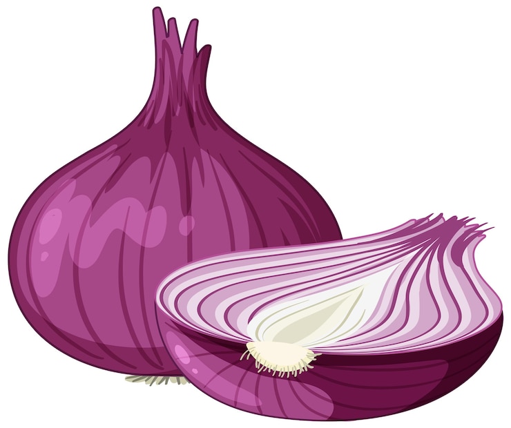 Free Vector cartoon red shallot isolated