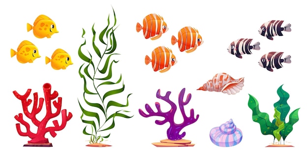 Vettore gratuito set di cartoni animati di coralli di alghe di pesci esotici