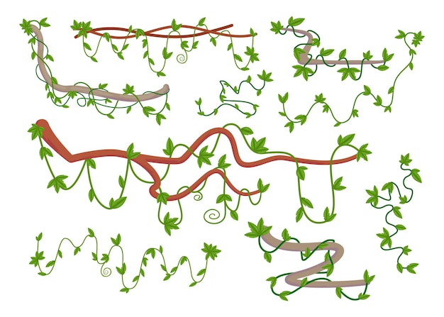 Мультфильм набор диких завитков веточки лианы иллюстрации
