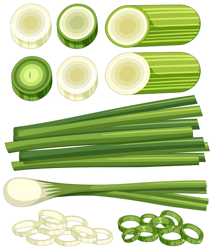 Free Vector cartoon spring onion isolated