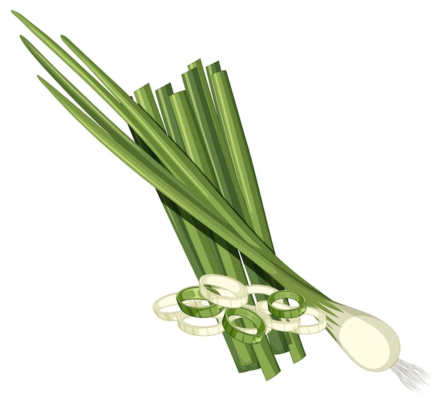 Free vector cartoon spring onion isolated