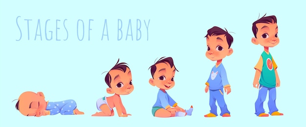 Free vector cartoon stages of a baby boy
