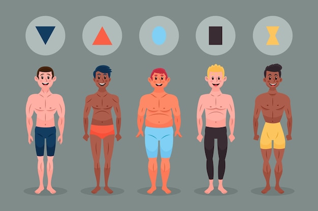 Free vector cartoon types of male body shapes pack