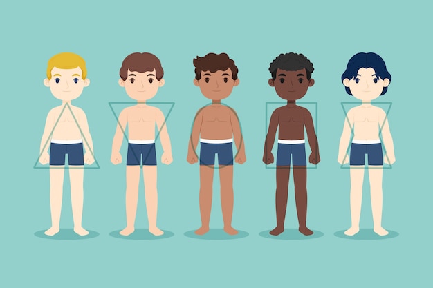 Free vector cartoon types of male body shapes