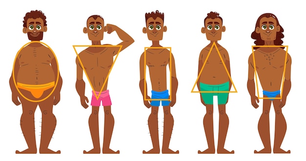 Free vector cartoon types of male body shapes