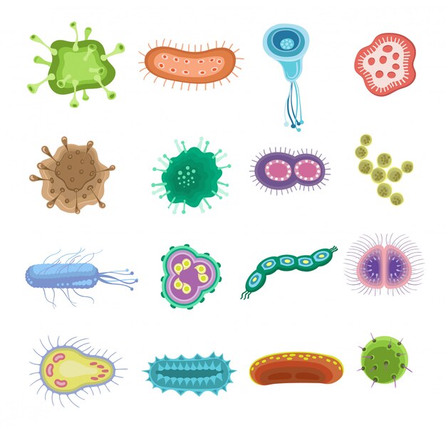 微生物学研究所等尺性組成物 無料のベクター