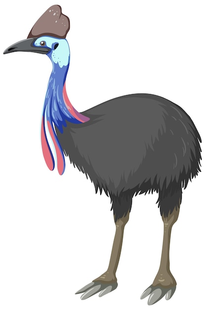 Free vector cassowary cartoon isolated on white background