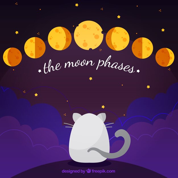 Cat background with phases of the moon