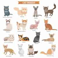 Free vector cat breed set