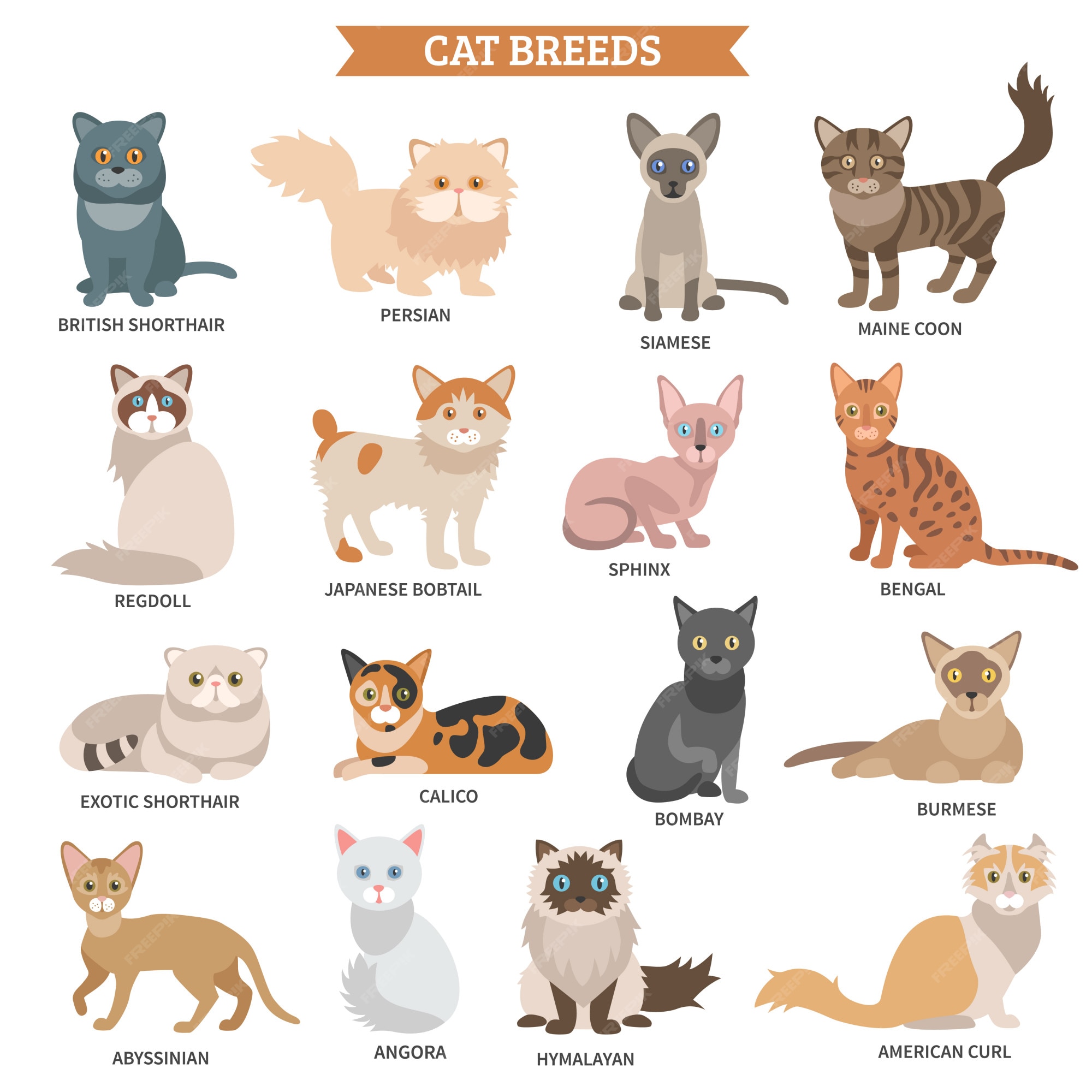 list of all cat breeds