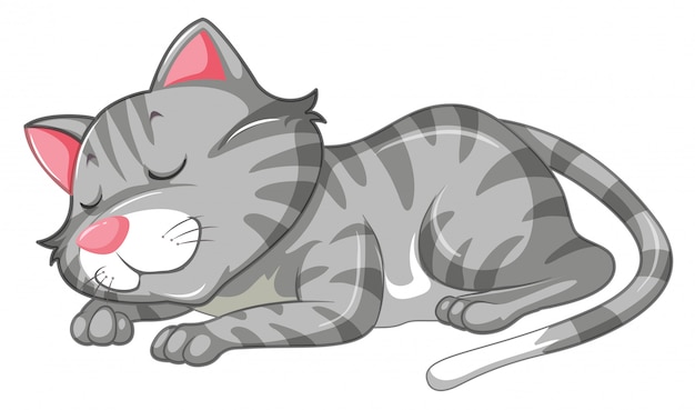 Free vector a cat character sleeping