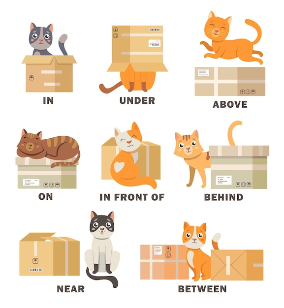 Preposition Of Place Illustration With C Premium Vector Freepik ...