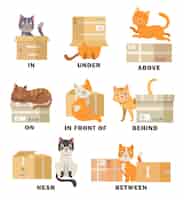Free vector cat in different poses with box cartoon illustration set. visual representation of english preposition of place for children. pet above, behind, between, beside, near box. vocabulary, studying concept
