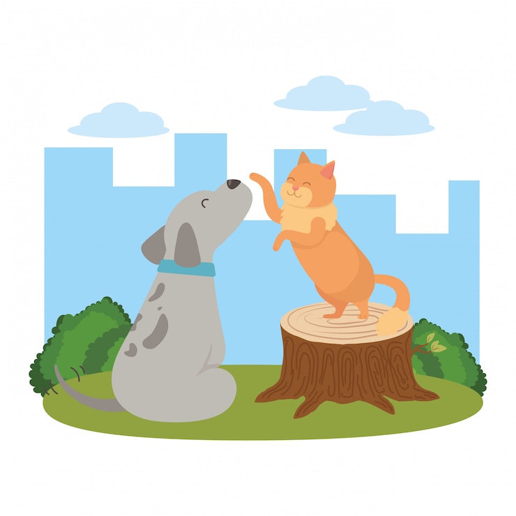 Free Vector cat and dog cartoon 