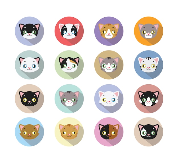 Cat faces collection