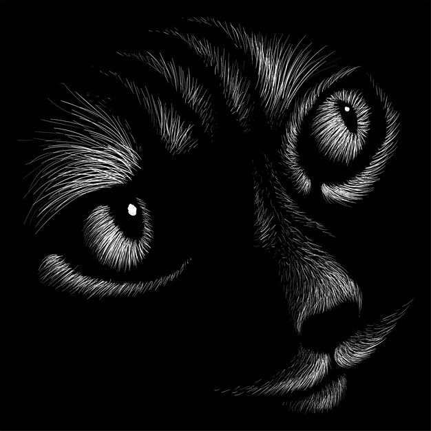 Premium Vector Cat Head Drawing Illustration
