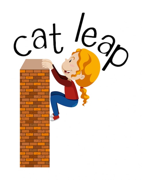 Cat leap exercise on white background