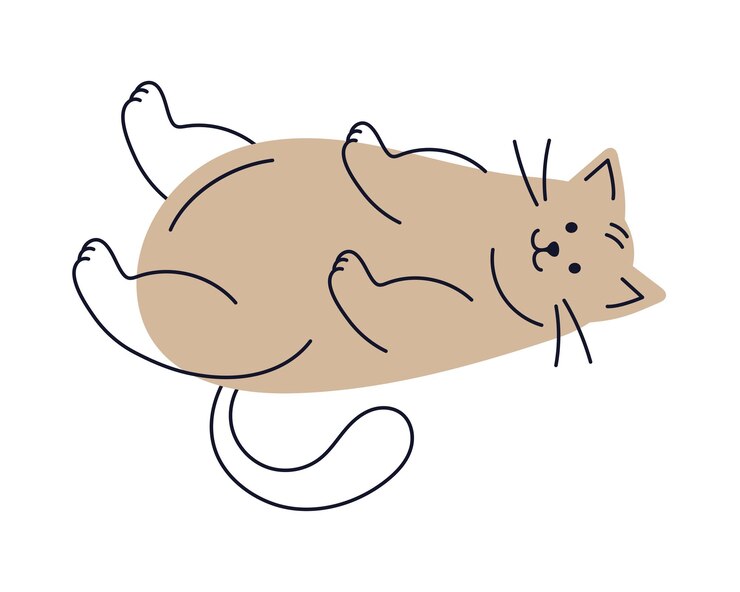 무료 Vector 고양이 마스코트 국내