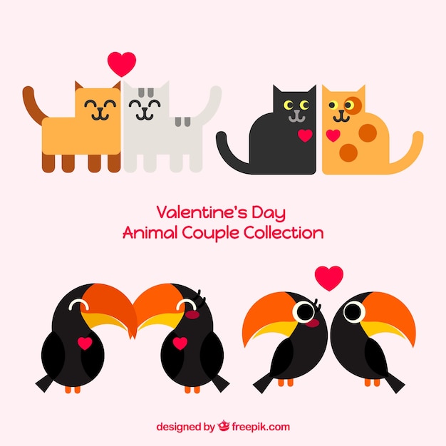 Cat and toucan couple collection for valentine