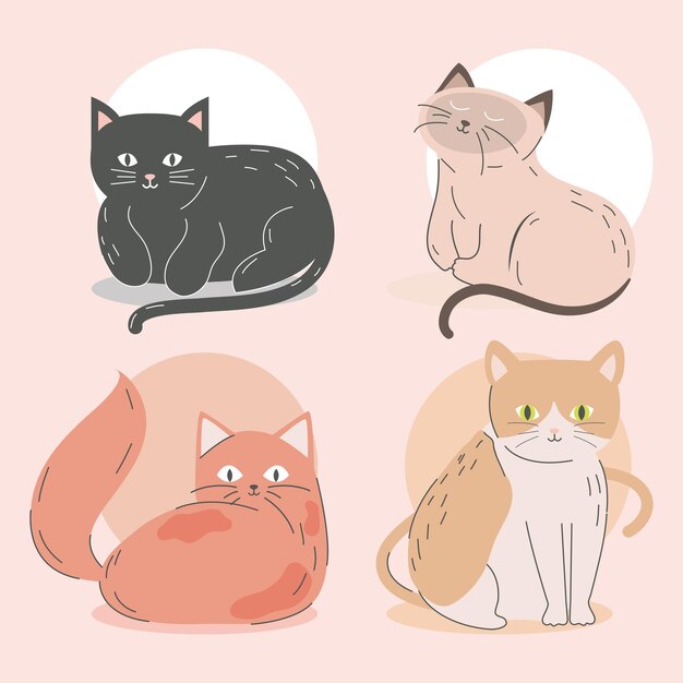 Cats cute animals