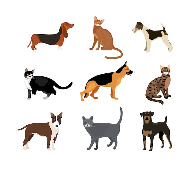 Free vector cats and dogs vector illustration showing different breeds including a rottweiler  fox terrier  bloodhound   german shepherd and pitbull and different fur color in the cats