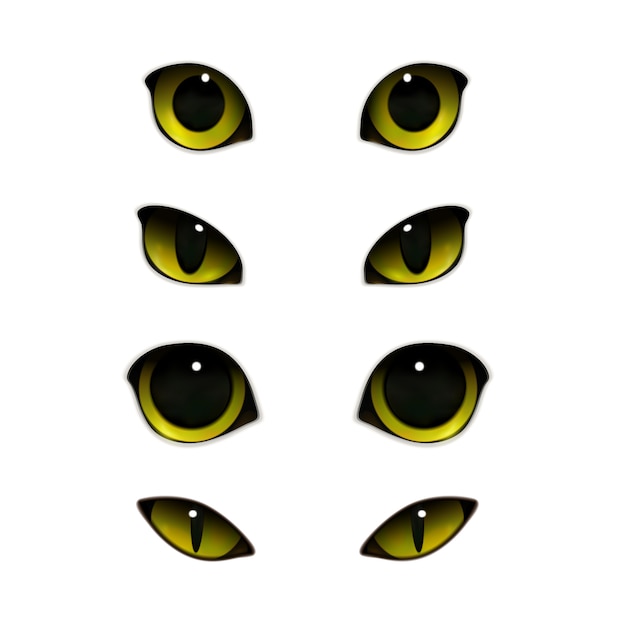 Cats eyes realistic set