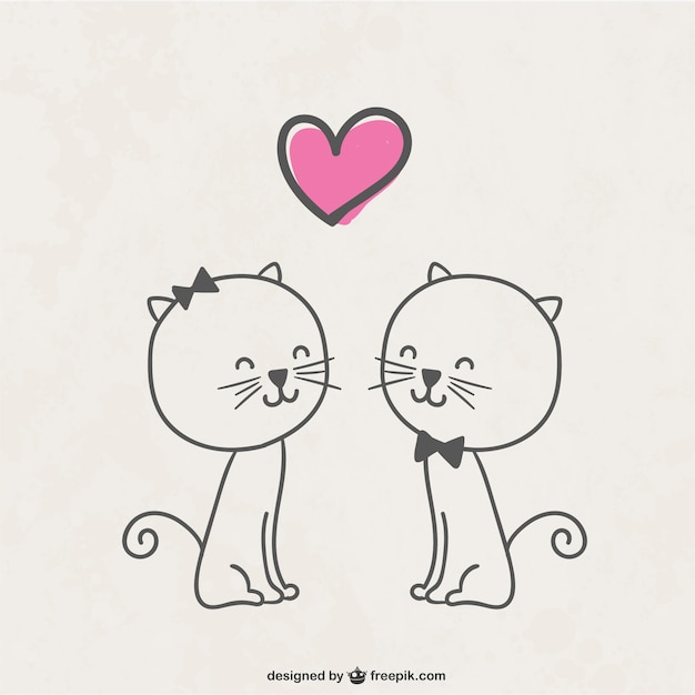 Cats in love