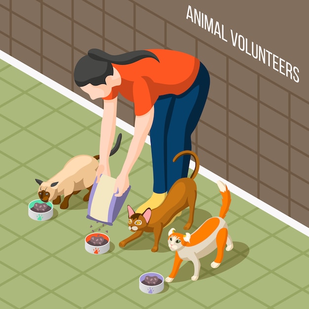 Vettore gratuito cats volunteer isometric